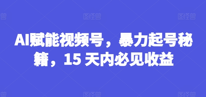 AI赋能视频号，暴力起号秘籍，15 天内必见收益【揭秘】-一起网赚吧