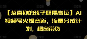 【恭喜你的孩子取得高位】AI视频号火爆赛道，流量分成计划，橱窗带货【揭秘】-一起网赚吧