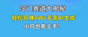 冷门赛道大揭秘,轻松月赚1W+无需AI生成,小白也能上手【揭秘】-一起网赚吧