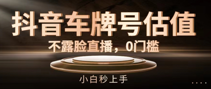 抖音车牌号估值，不露脸直播，0门槛，小白秒上手【揭秘】-一起网赚吧