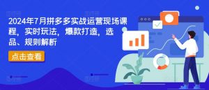 2024年7月拼多多实战运营现场课程，实时玩法，爆款打造，选品、规则解析-一起网赚吧