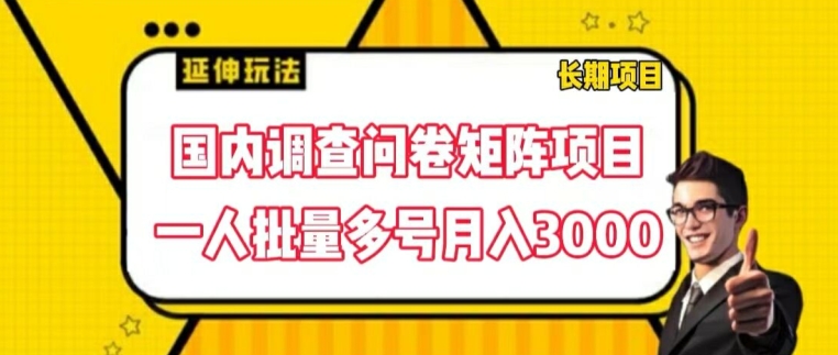国内调查问卷矩阵项目，一人批量多号月入3000【揭秘】-一起网赚吧