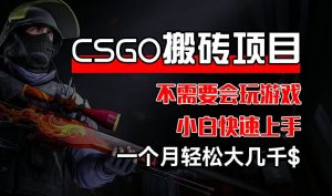 CSGO 装备搬砖项目，操作简单，不需要会玩游戏，小白也能快速上手，一个月轻松大几千【揭秘】-一起网赚吧