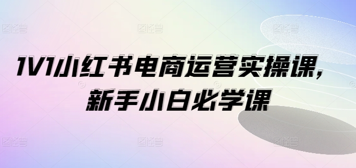 1V1小红书电商运营实操课，新手小白必学课-一起网赚吧