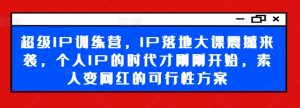 超级IP训练营，IP落地大课震撼来袭，个人IP的时代才刚刚开始，素人变网红的可行性方案-一起网赚吧
