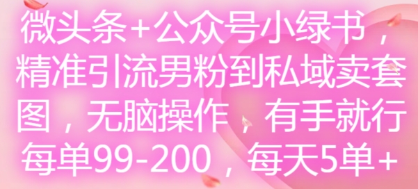 微头条+公众号小绿书，精准引流男粉到私域卖套图，无脑操作，有手就行，每单99-200，每天5单-一起网赚吧