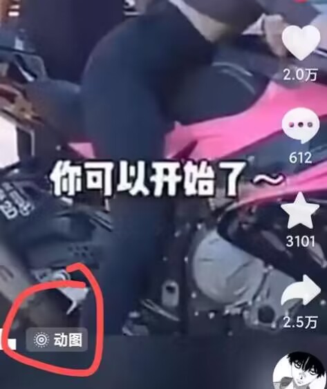 2024年7月苹果手机动图搬运技术-一起网赚吧