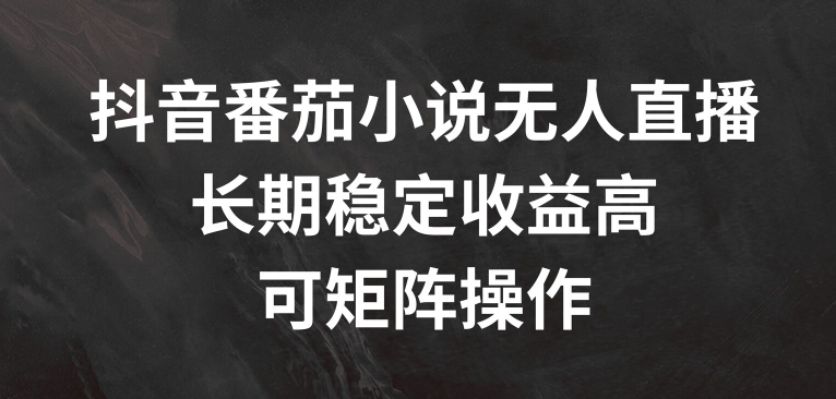 抖音番茄小说无人直播，长期稳定收益高，可矩阵操作【揭秘】-一起网赚吧