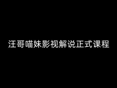 汪哥影视解说正式课程：剪映/PR教学/视解说剪辑5大黄金法则/全流程剪辑7把利器等等-一起网赚吧