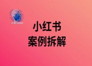 小红书案例拆解，深度解读小红书40万粉-一起网赚吧