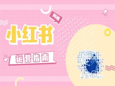 小红书运营指南，没有套路，全是经验-一起网赚吧