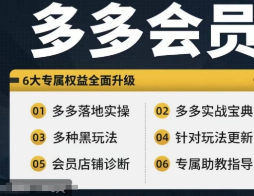 拼多多会员，拼多多实战宝典+实战落地实操，从新手到高阶内容全面覆盖-一起网赚吧