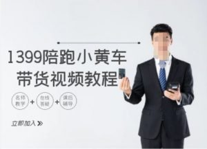 1399陪跑tiktok小黄车带货视频教程,tiktok跨境电商教程-一起网赚吧