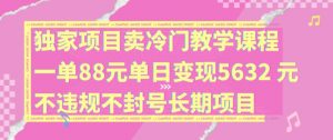 独家项目卖冷门教学课程一单88元单日变现5632元违规不封号长期项目【揭秘】-一起网赚吧