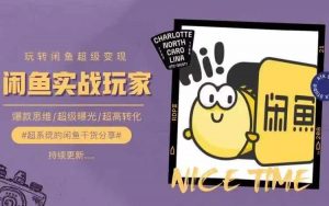 从0到1系统玩转闲鱼变现，教你核心选品思维，提升产品曝光及转化率-一起网赚吧