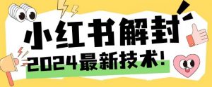 2024最新小红书账号封禁解封方法，无限释放手机号【揭秘】-一起网赚吧