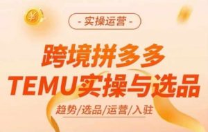 跨境拼多多TEMU实操与选品，多多temu跨境选品运营实操-一起网赚吧