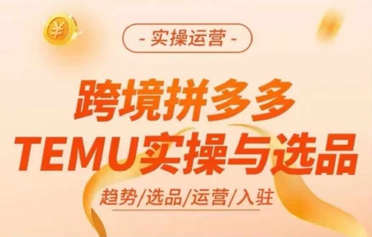 跨境拼多多TEMU实操与选品，多多temu跨境选品运营实操-一起网赚吧