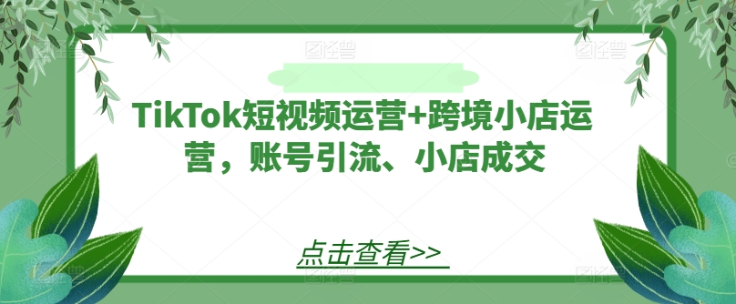 TikTok短视频运营+跨境小店运营，账号引流、小店成交-一起网赚吧