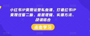 小红书IP变现运营私教课，打通红书IP变现任督二脉，底层逻辑、实操方法、战训结合-一起网赚吧