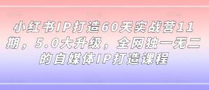 小红书IP打造60天实战营11期，5.0大升级，全网独一无二的自媒体IP打造课程-一起网赚吧