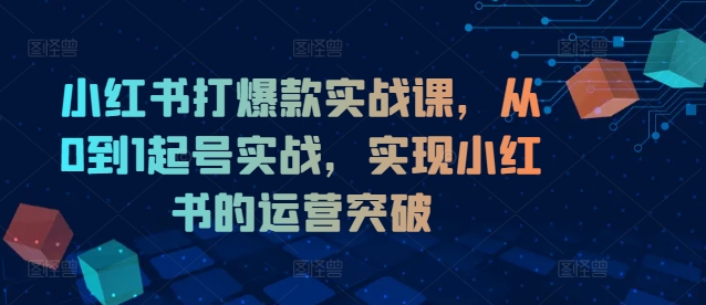 小红书打爆款实战课，从0到1起号实战，实现小红书的运营突破-一起网赚吧