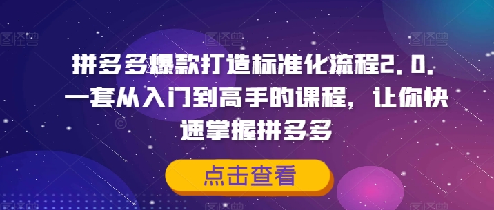 拼多多爆款打造标准化流程2.0，一套从入门到高手的课程，让你快速掌握拼多多-一起网赚吧