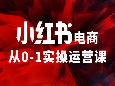小红书电商从0-1实操运营课，让你从小白到精英-一起网赚吧
