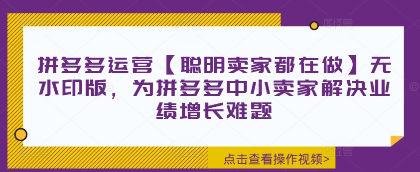 拼多多运营【聪明卖家都在做】无水印版，为拼多多中小卖家解决业绩增长难题-一起网赚吧