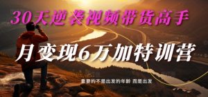 30天逆袭视频带货高手，单月变现6万加特训营-麦子甜-一起网赚吧