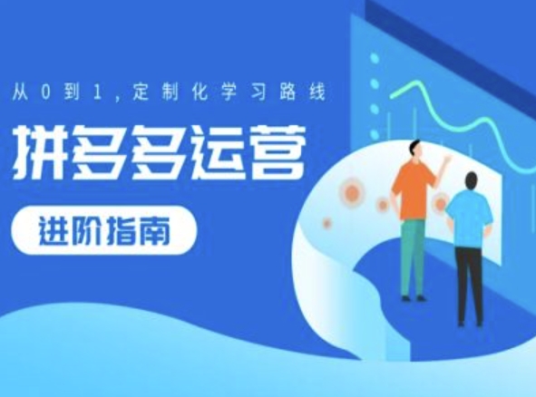 拼多多运营进阶指南，从0到1定制化学习路线-一起网赚吧