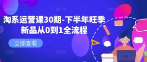 淘系运营课30期-下半年旺季新品从0到1全流程-一起网赚吧