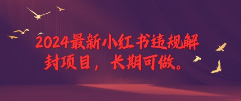 2024最新小红书违规解封项目，长期可做，一个可以做到退休的项目【揭秘】-一起网赚吧