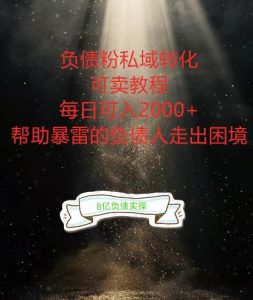 负债粉掘金计划,帮助负债者解决问题,债务规划,债务重组,最好的变现方式【揭秘】-一起网赚吧