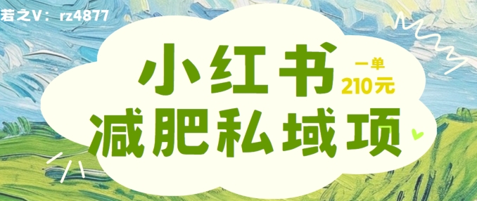 小红书减肥粉，私域变现项目，一单就达210元，小白也能轻松上手【揭秘】-一起网赚吧