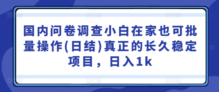 国内问卷调查小白在家也可批量操作(日结)真正的长久稳定项目，日入1k【揭秘】-一起网赚吧