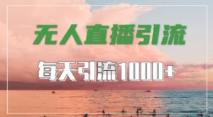 抖音快手视频号全平台通用，无人直播引流法，超暴力引流1000+高质量精准创业粉【揭秘】-一起网赚吧