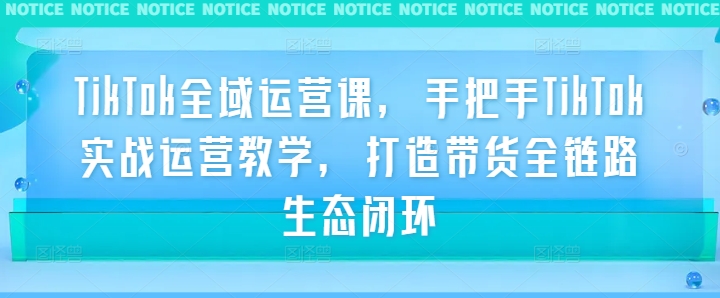 TikTok全域运营课，手把手TikTok实战运营教学，打造带货全链路生态闭环-一起网赚吧
