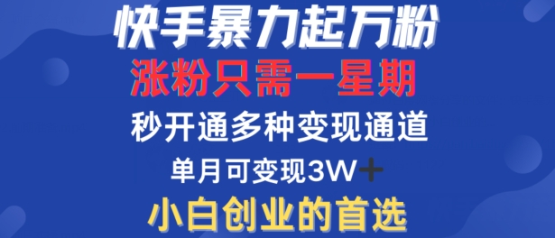 快手暴力起万粉，涨粉只需一星期，多种变现模式，直接秒开万合，单月变现过W【揭秘】-一起网赚吧