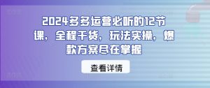 2024多多运营必听的12节课，全程干货，玩法实操，爆款方案尽在掌握-一起网赚吧
