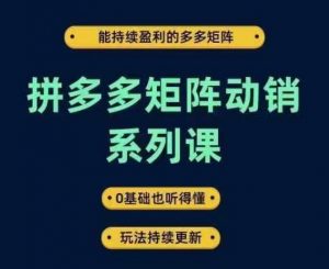 拼多多矩阵动销系列课，能持续盈利的多多矩阵，0基础也听得懂，玩法持续更新-一起网赚吧