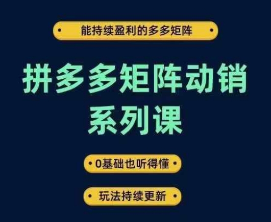 拼多多矩阵动销系列课，能持续盈利的多多矩阵，0基础也听得懂，玩法持续更新-一起网赚吧