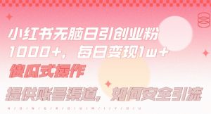 小红书无脑每日引流创业粉500+，小白每天只花半小时，躺赚长尾收益【揭秘】-一起网赚吧