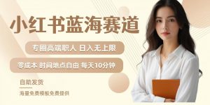 小红书蓝海赛道，圈中高端职场人，月入无上限，可矩阵，内含私域实操教程!-一起网赚吧