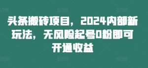 头条搬砖项目,2024内部新玩法,无风险起号0粉即可开通收益-一起网赚吧