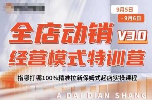 全店动销经营模式特训营，指哪打哪100%精准拉新保姆式起店实操课程-一起网赚吧