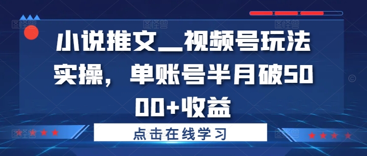 小说推文—视频号玩法实操，单账号半月破5000+收益-一起网赚吧