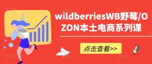 wildberriesWB野莓/OZON本土电商系列课，掌握WB产品优化，出单技巧和订单处理等-一起网赚吧