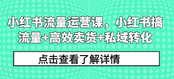 小红书流量运营课，小红书搞流量+高效卖货+私域转化-一起网赚吧