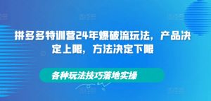 拼多多特训营24年爆破流玩法，产品决定上限，方法决定下限，各种玩法技巧落地实操-一起网赚吧